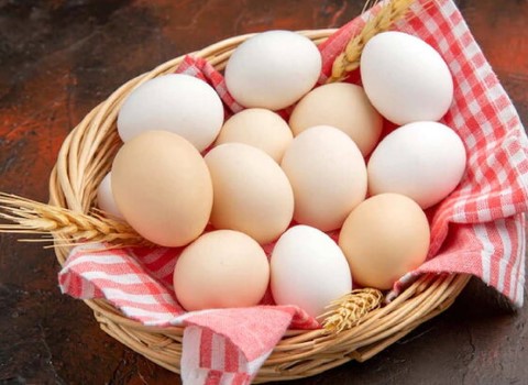 تصویر 1 از قیمت خرید تخم مرغ ارگانیک محلی + فروش ویژه